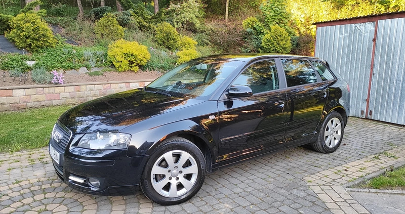 Audi A3 cena 22900 przebieg: 179833, rok produkcji 2007 z Myślenice małe 379